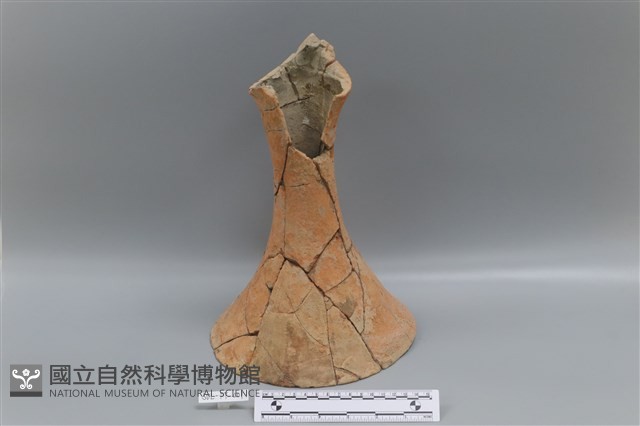 連杯形器藏品圖，第1張