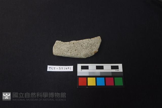 石鏟藏品圖，第1張