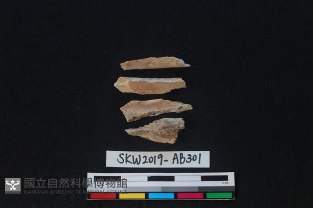 獸骨藏品圖，第1張