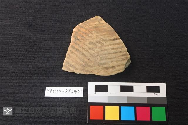 陶片藏品圖，第1張