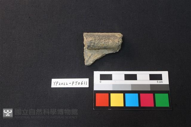 陶片藏品圖，第1張