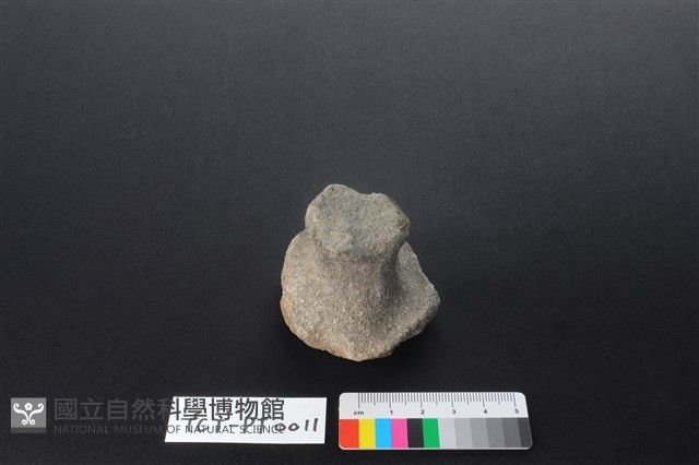 陶蓋鈕藏品圖，第1張