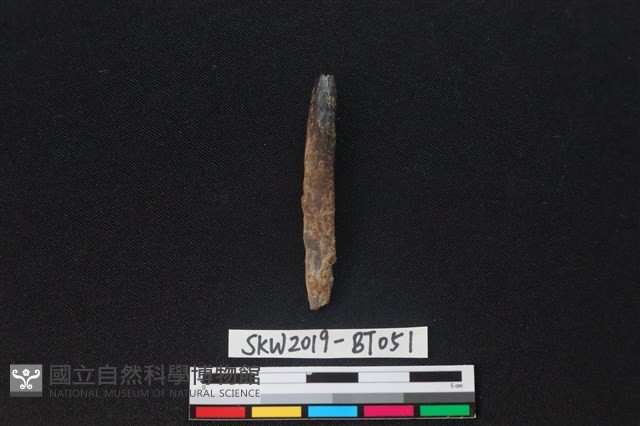 骨尖器殘件藏品圖，第1張