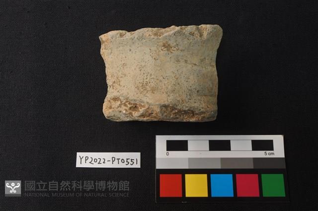 陶片藏品圖，第1張