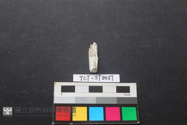 錛鑿形器藏品圖，第1張