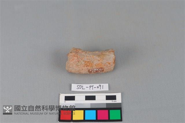 陶把藏品圖，第1張