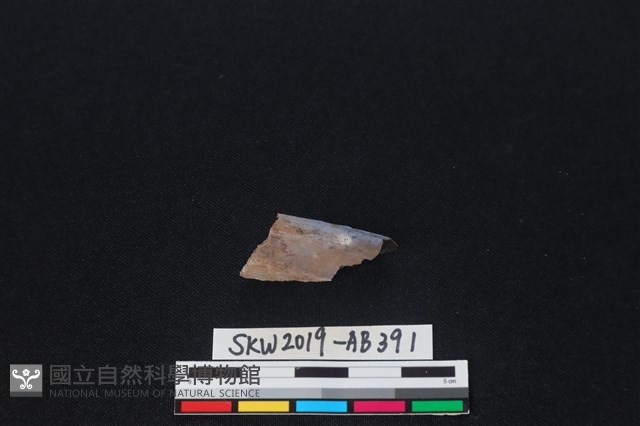 獸骨藏品圖，第1張
