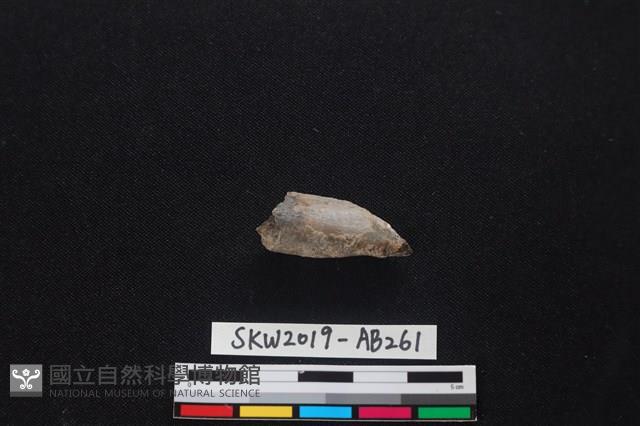 獸骨藏品圖，第1張