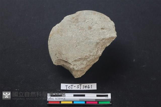 石鏟藏品圖，第1張