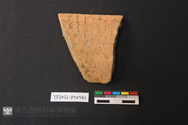 陶片藏品圖，第1張