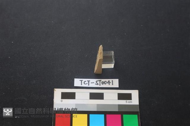 錛鑿形器藏品圖，第1張