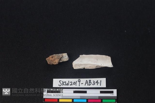 獸骨藏品圖，第1張