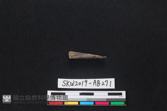 獸骨藏品圖，第1張