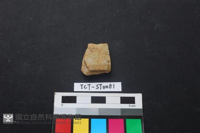 矛鏃形器藏品圖，第1張