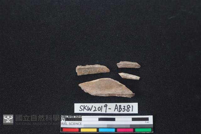 獸骨藏品圖，第1張