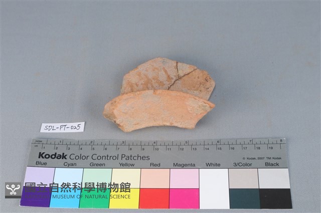 陶罐藏品圖，第1張