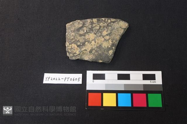 陶片藏品圖，第1張