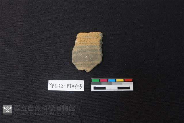 陶片藏品圖，第1張
