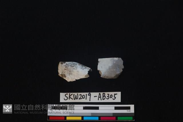 獸骨藏品圖，第1張