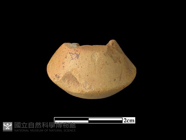 陶紡輪藏品圖，第1張