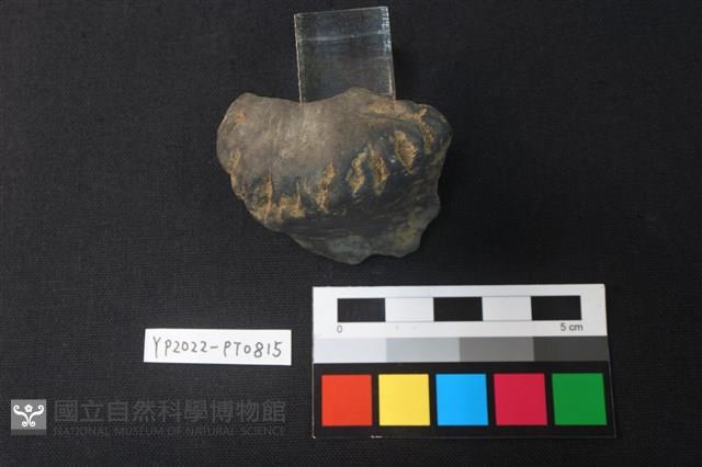 陶鈕藏品圖，第1張