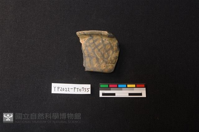 陶片藏品圖，第1張