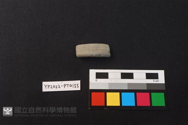 陶環藏品圖，第1張