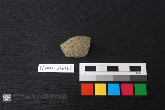陶片藏品圖，第1張