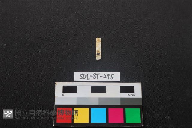 玉飾藏品圖，第1張