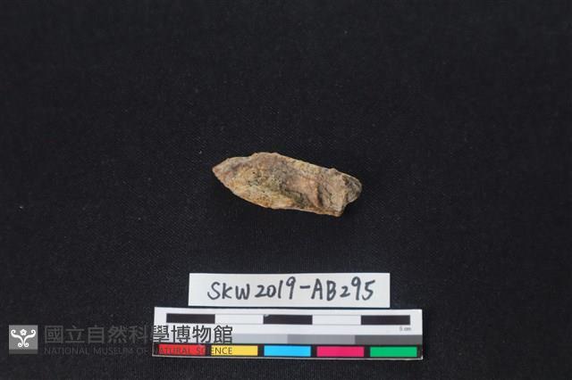 獸骨藏品圖，第1張