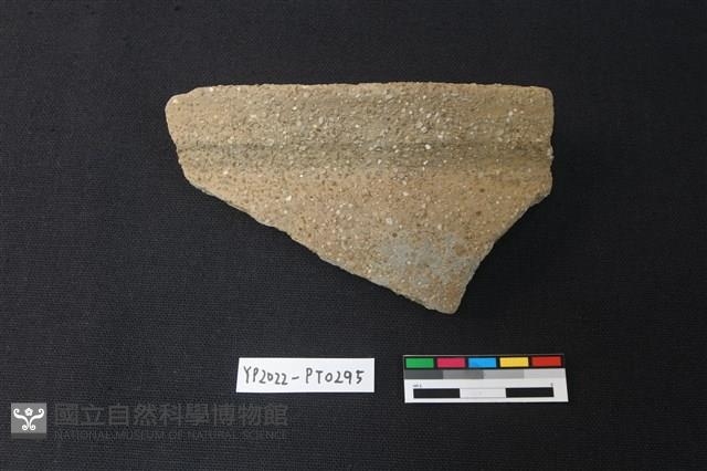 陶片藏品圖，第1張