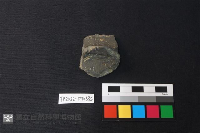 陶片藏品圖，第1張