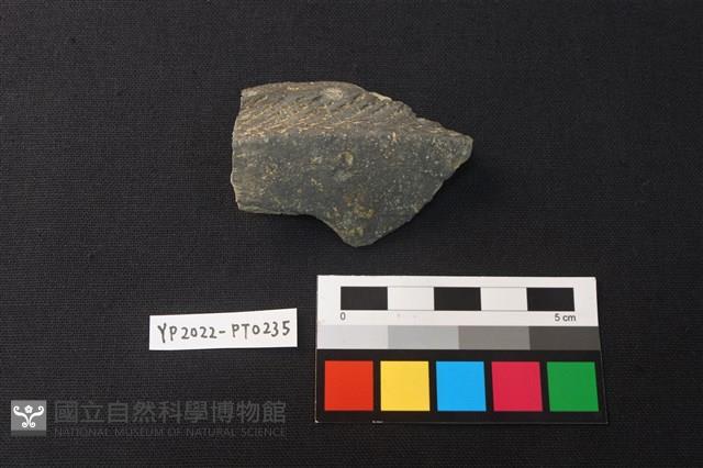 陶片藏品圖，第1張