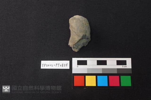陶鈕藏品圖，第1張