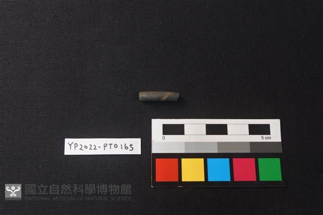 陶環藏品圖，第1張