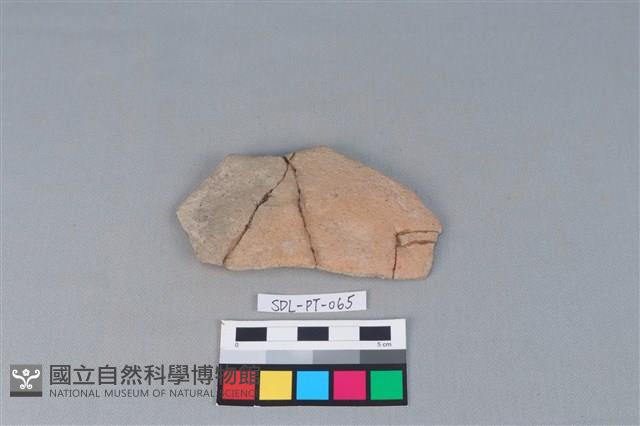 陶片藏品圖，第1張