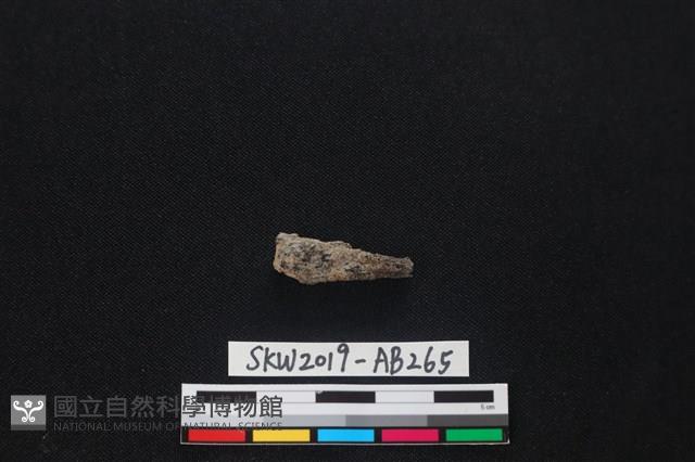 獸骨藏品圖，第1張