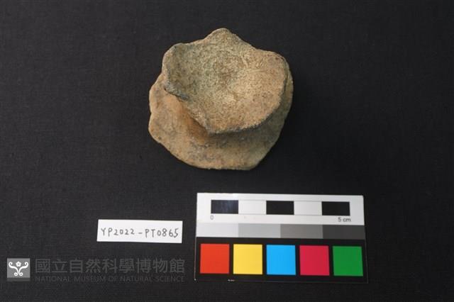 陶鈕藏品圖，第1張