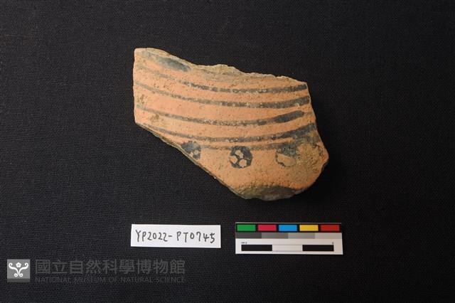 陶片藏品圖，第1張