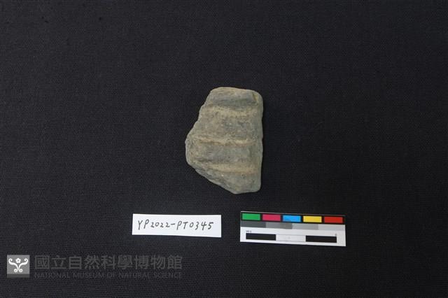 陶片藏品圖，第1張