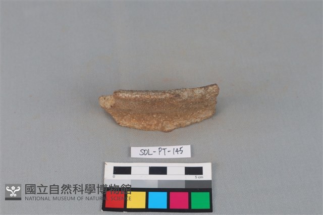 陶罐藏品圖，第1張