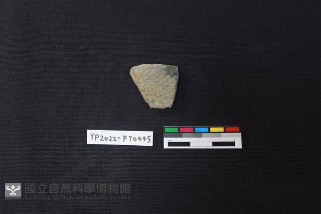 陶片藏品圖，第1張