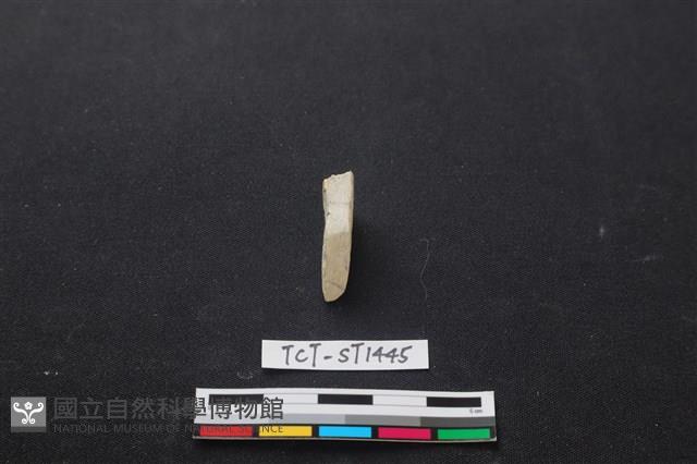 錛鑿形器藏品圖，第1張