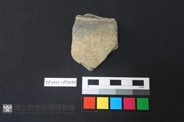 陶片藏品圖，第1張