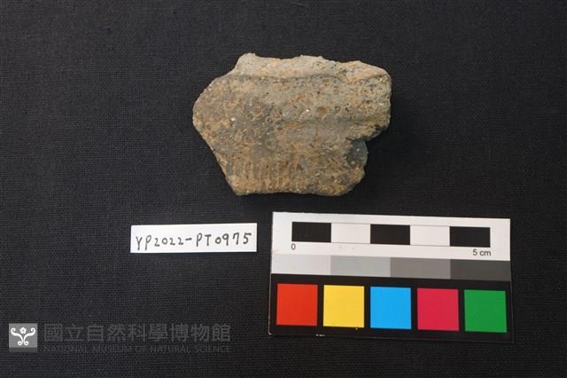 陶片藏品圖，第1張
