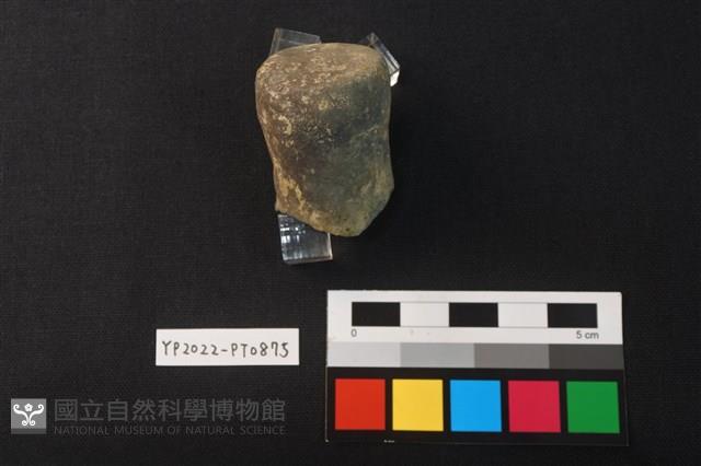 陶鈕藏品圖，第1張