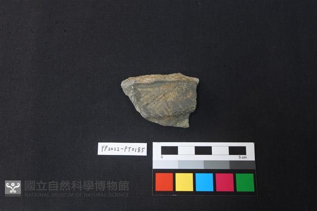 陶片藏品圖，第1張