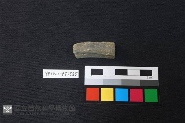 陶片藏品圖，第1張