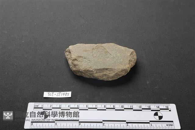 Accession Number:TCT-ST1485 Collection Image, Figure 1, Total 3 Figures