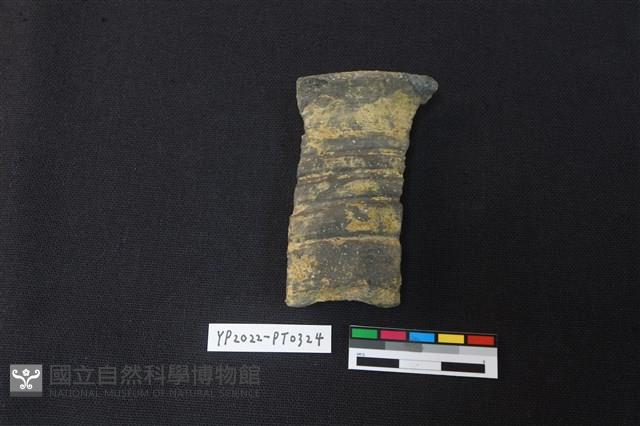 陶片藏品圖，第1張